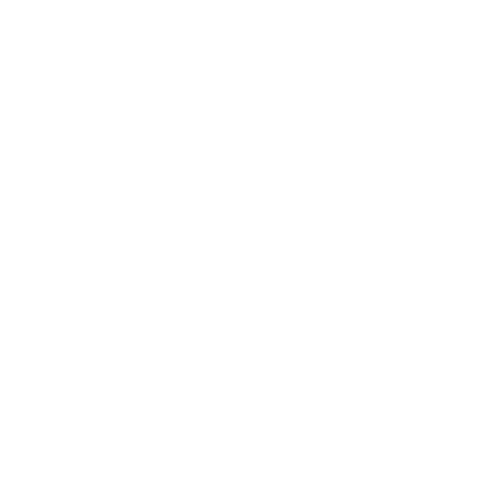 TKK Apparel